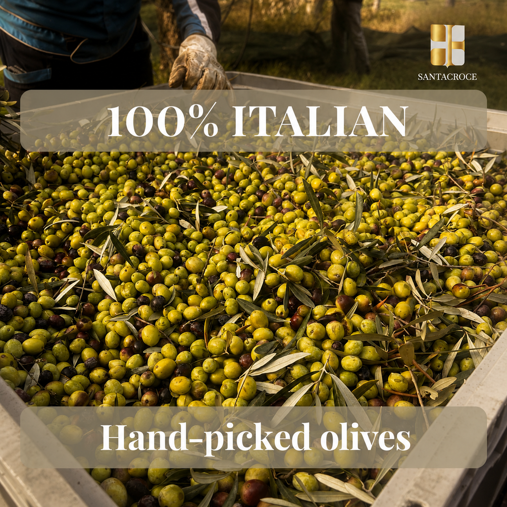 Natives Olivenöl Extra Santacroce – FLASH-AKTION VERSANDKOSTENFREI